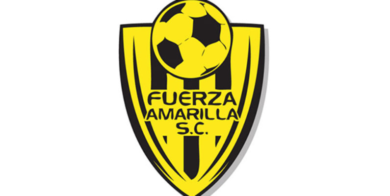 Fuerza Amarilla está vetado de participar en la Serie A para el 2018